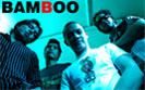 Bamboo