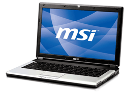 MSI EX 460x-T66