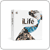 Apple&nbsp;iLife 06 Retail