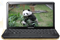 Samsung NP N102S-B06PH N2100 Win 7 Laptop