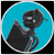 A4Tech&nbsp;Warrior LiveCam